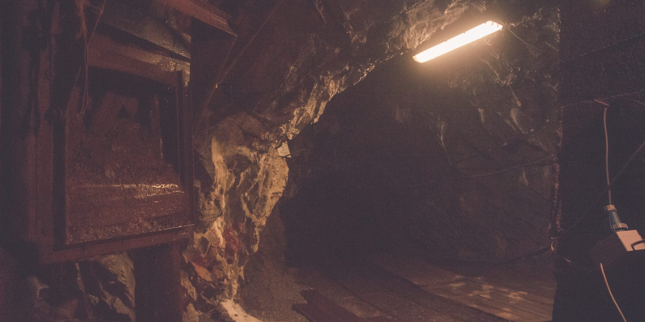 Luca Maffeis IY CqJome A Unsplash