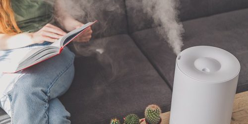 nawilżacz do domu Klimawent