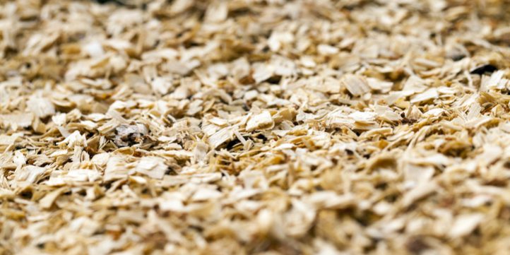 trociny trociny zdjęcie