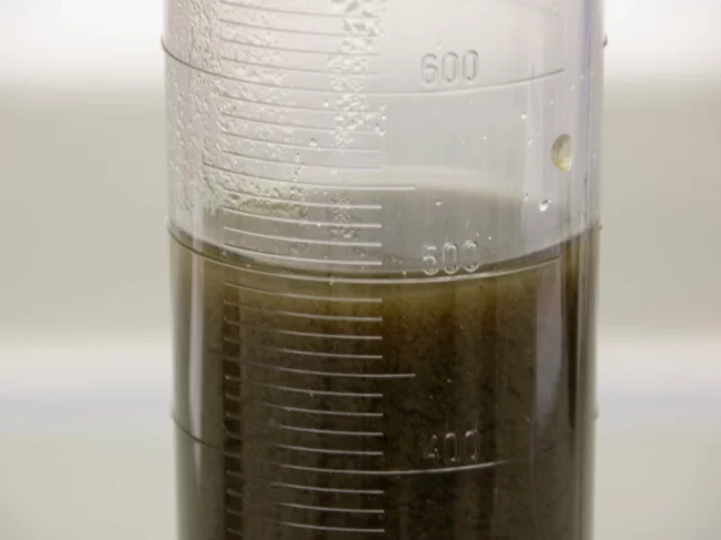 Brudny Olej brudny olej